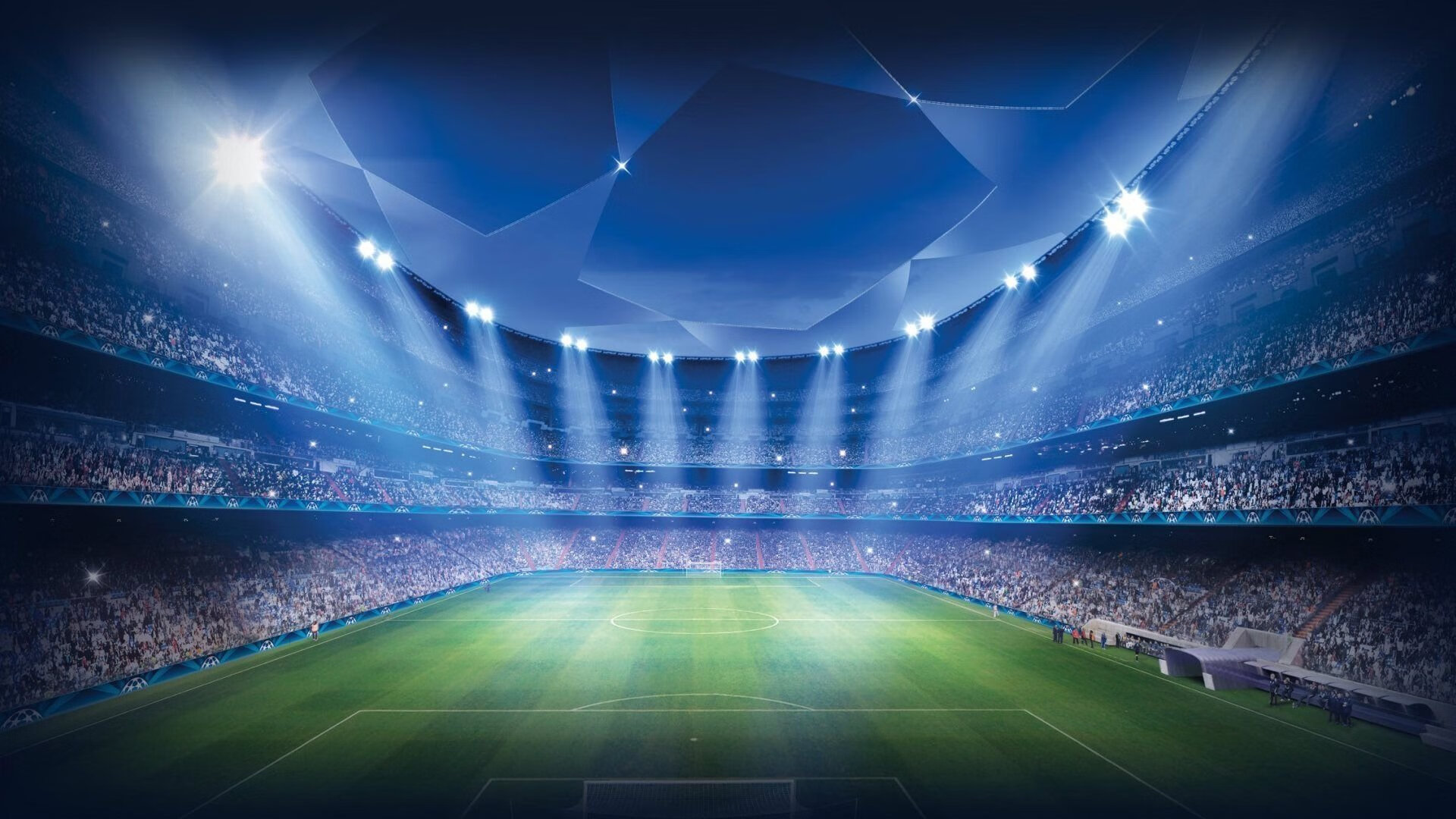 国际跳高智能踏板使用培训手册新版面世，国际跳高视频